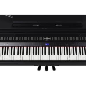 Roland GP-9M-PES(10年保証)...の詳細画像5