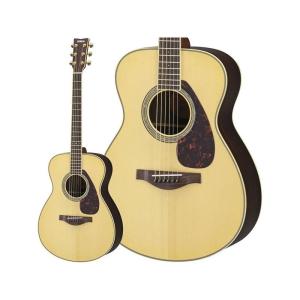 ESP [※お取り寄せ商品] Grass Roots G-BB-DLX 【See Thru Brown