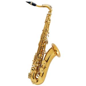 Selmer Paris 【旧定価品！】テナーサックス セルマー Supreme シュプレーム DGL(ダークゴールドラッカー) 【調整&セットアップ後出荷】【5年...