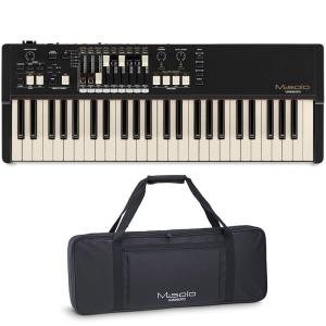 【きんちゃん様】Hammond XB-1 音と動作確認済み 専用ハードケース HAMMOND ハードケース 黒 XB-2 HAMMOND ハモンド XB-2 電子オルガン