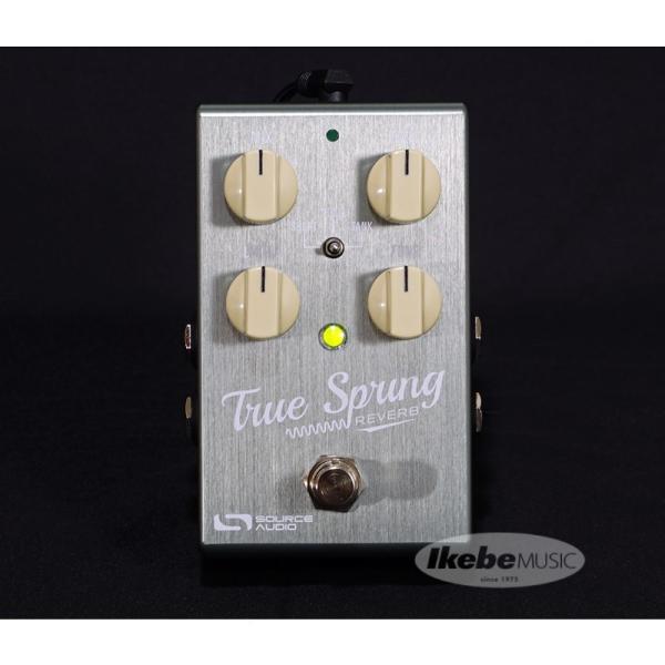 SOURCE AUDIO 【エフェクタースーパープライスSALE】SA247 True Spring...