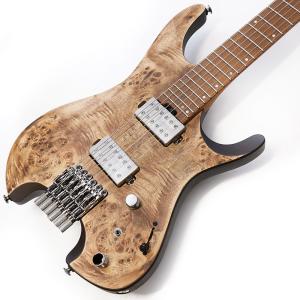 SCHECTER SCHECTER PS-PT-RH VNT PF シェクターテレキャスタータイプ