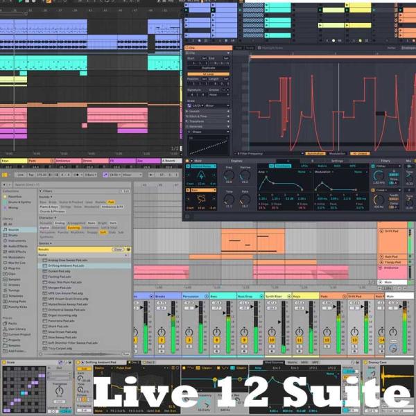 ableton Live 12 Suite (オンライン納品)(代引不可)