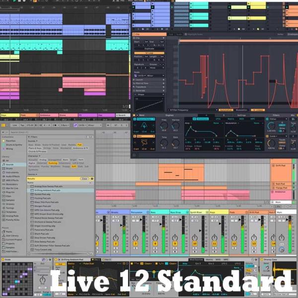ableton Live 12 Standard (代引不可)(オンライン納品)