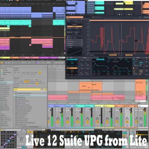 Ableton エイブルトン Live12 Standard アップグレード版 from Live