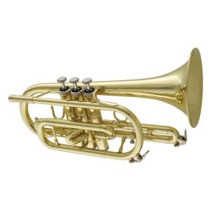 CAROL BRASS N3000 CL 【Bb コルネット】  【新品チョイキズ超特価!!】｜ikebe