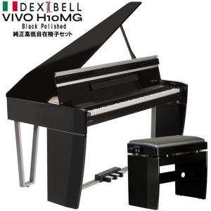 DEXIBELL VIVO H10 MG Bla...の商品画像