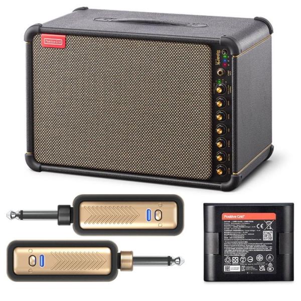Positive Grid Spark LIVE 【Spark Battery +ワイヤレスSpar...