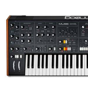 moog Muse (ミューズ)8ボイス・アナ...の詳細画像4