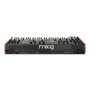 moog Muse (ミューズ)8ボイス・アナ...の詳細画像5