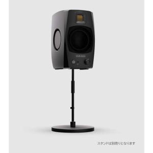 ADAM D3V Black (ペア)(国内正...の詳細画像4