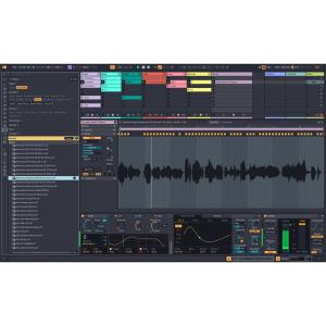 ableton Move 【スタンドアロンポー...の詳細画像4