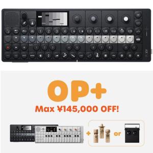 FURMAN P-1800 PF R J ファーマン パワーコンディショナー 安心の日本