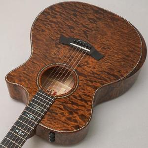 TAYLOR Custom GAce Hand...の詳細画像4