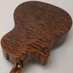 TAYLOR Custom GAce Hand...の詳細画像5