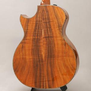 TAYLOR Custom GAce Andy...の詳細画像1