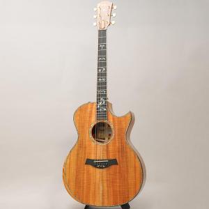 TAYLOR Custom GAce Andy...の詳細画像2