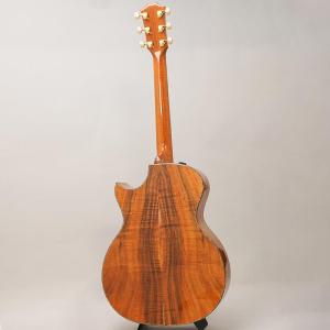TAYLOR Custom GAce Andy...の詳細画像3