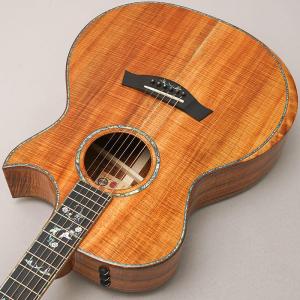TAYLOR Custom GAce Andy...の詳細画像4