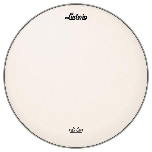 Ludwig LW114RAC [Coated Ambassador 14'']