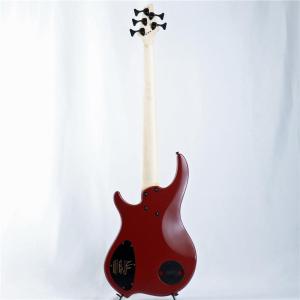 DINGWALL NG-3 5st Adam ...の詳細画像5