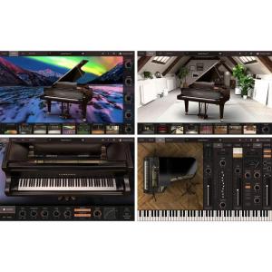 IK Multimedia Pianoverse Y7 ピアノの高価買取価格