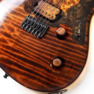 MAYONES Ikebe 50th Anni...の詳細画像4