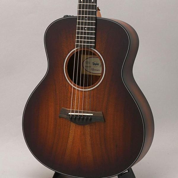 TAYLOR 【特価】 GS Mini-e Koa Plus テイラー