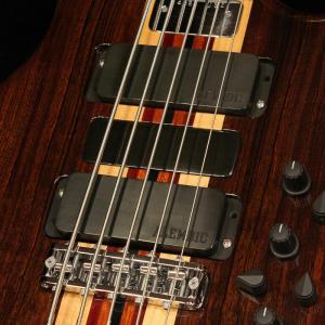 ALEMBIC USED 中古 LSBI5-E...の詳細画像2