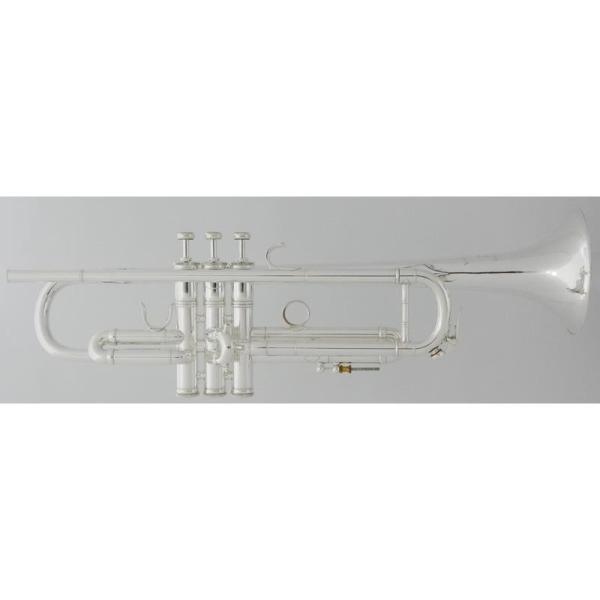 その他ブランド(管楽器・吹奏楽器) USED 中古 E-BENGE ベンジ / Claude Gor...