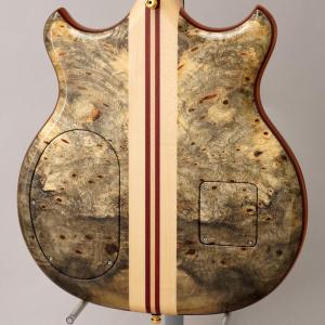 ALEMBIC SCSB4 Buckeye R...の詳細画像2