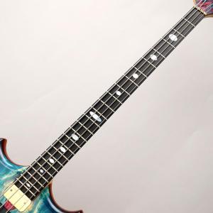 ALEMBIC SCSB4 Buckeye R...の詳細画像4