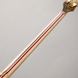 ALEMBIC SCSB4 Buckeye R...の詳細画像5