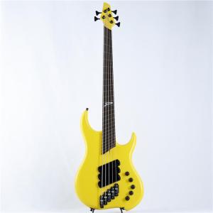 DINGWALL Lee Sklar Sign...の詳細画像1