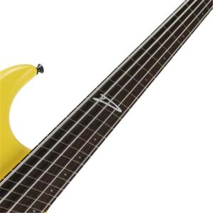 DINGWALL Lee Sklar Sign...の詳細画像3