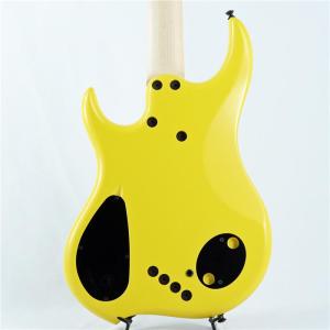 DINGWALL Lee Sklar Sign...の詳細画像4