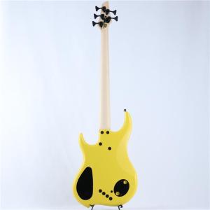 DINGWALL Lee Sklar Sign...の詳細画像5