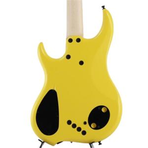 DINGWALL Lee Sklar Sign...の詳細画像5