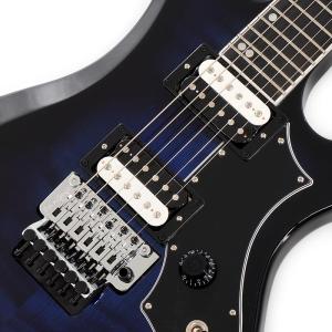 Gibson Victory Floyd Ro...の詳細画像3