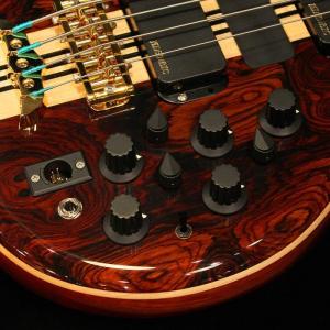 ALEMBIC SSB 4 / Series ...の詳細画像4