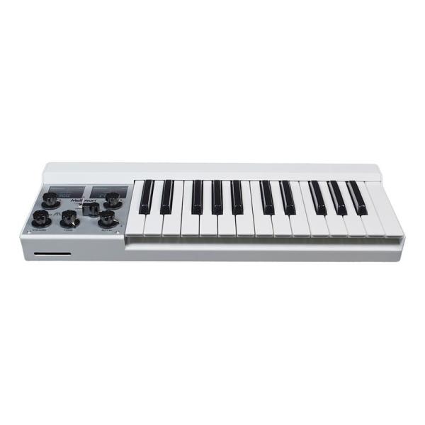 Mellotron M4000D Micro【Sound Card 02 プレゼントキャンペーン中】...