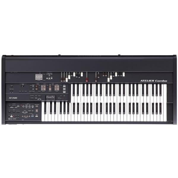 Roland ATELIER Combo AT-350C MUSIC ATELIER アトリエ (沖...