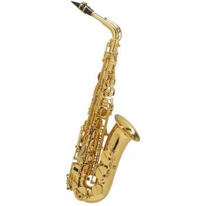 Selmer Paris 【本堂誠氏選定品】アルトサックス セルマー AXOS（アクソス）【選定料サービス!!】【調整&セットアップ後出荷】【5年間キーバ...