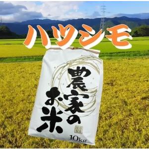 令和５年産　家族のお米　ハツシモ　玄米３０Ｋｇ　（精米可）