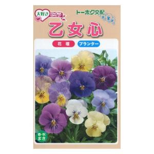 ビオラ パンジー 種の商品一覧 通販 Yahoo ショッピング