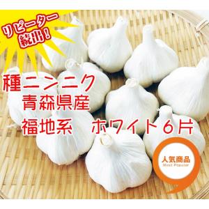 ニンニク 青森県産 福地系ホワイト6片 種子 500gの商品画像
