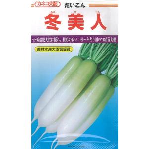 カネコ種苗 ダイコン 種 冬美人 20ｍｌ