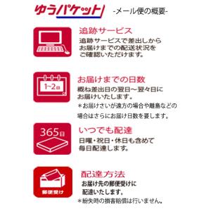 カネコ種苗 ダイコン 種 冬美人 20mlの詳細画像2