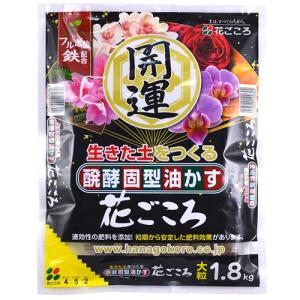花ごころ 醗酵固型油かす 大粒 1.8kg｜ikedagreen