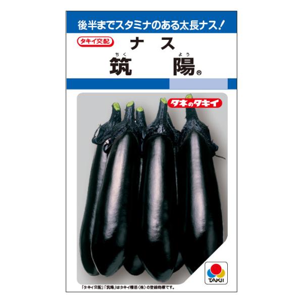 タキイ種苗 ナス 種 筑陽 DF(小袋）
